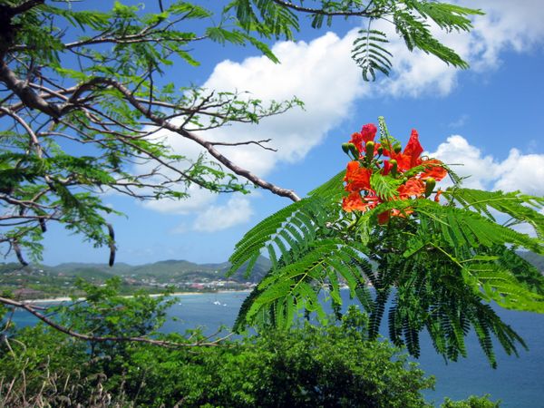 Saint Lucia: Beyond the beach