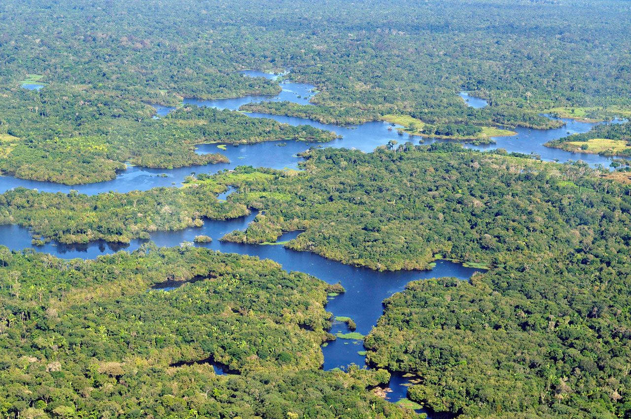 The Amazon rainforest - Neil Palmer/CIAT