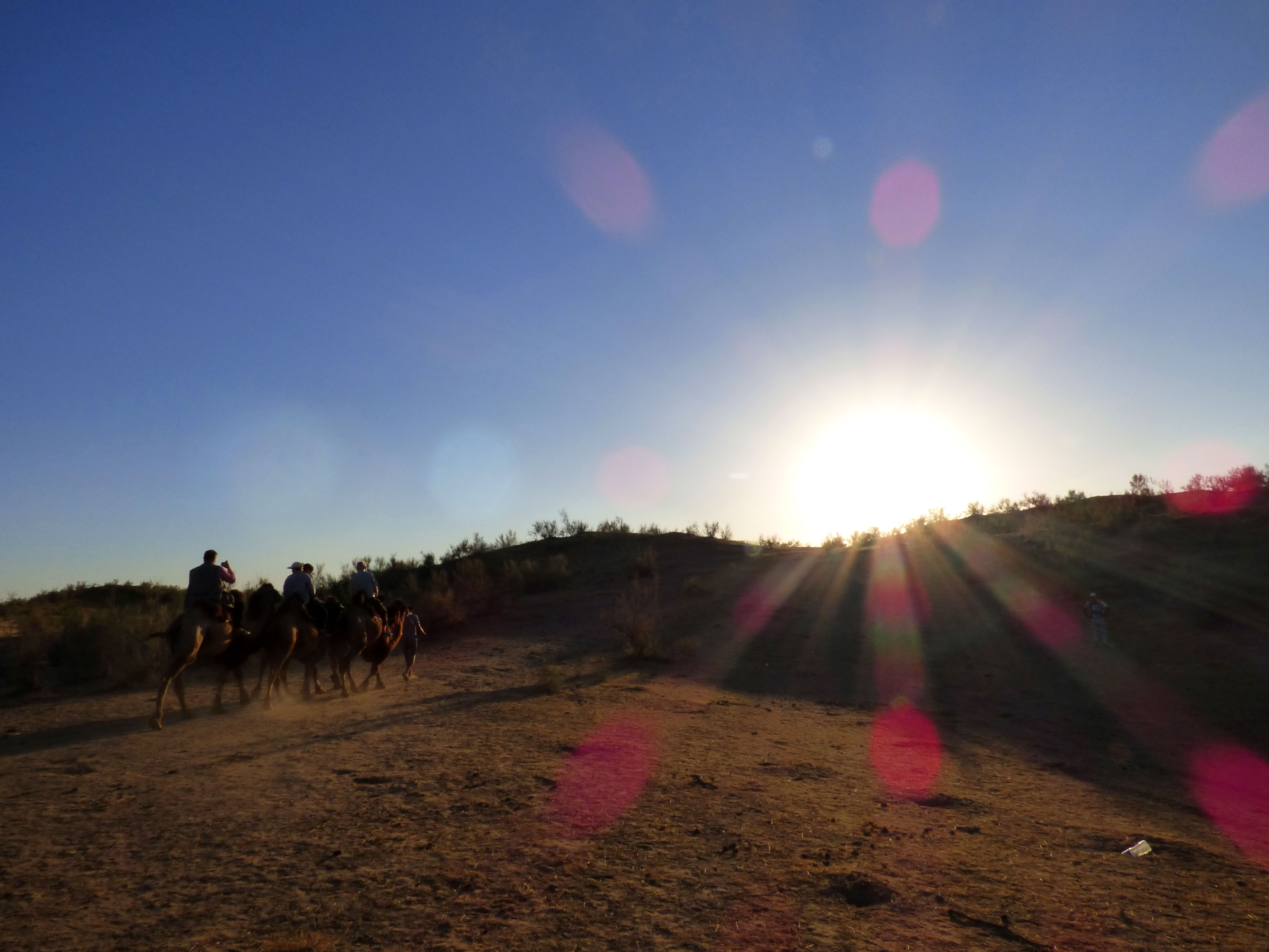 Crossing the Kyzylkum Desert | Not Here travel blog