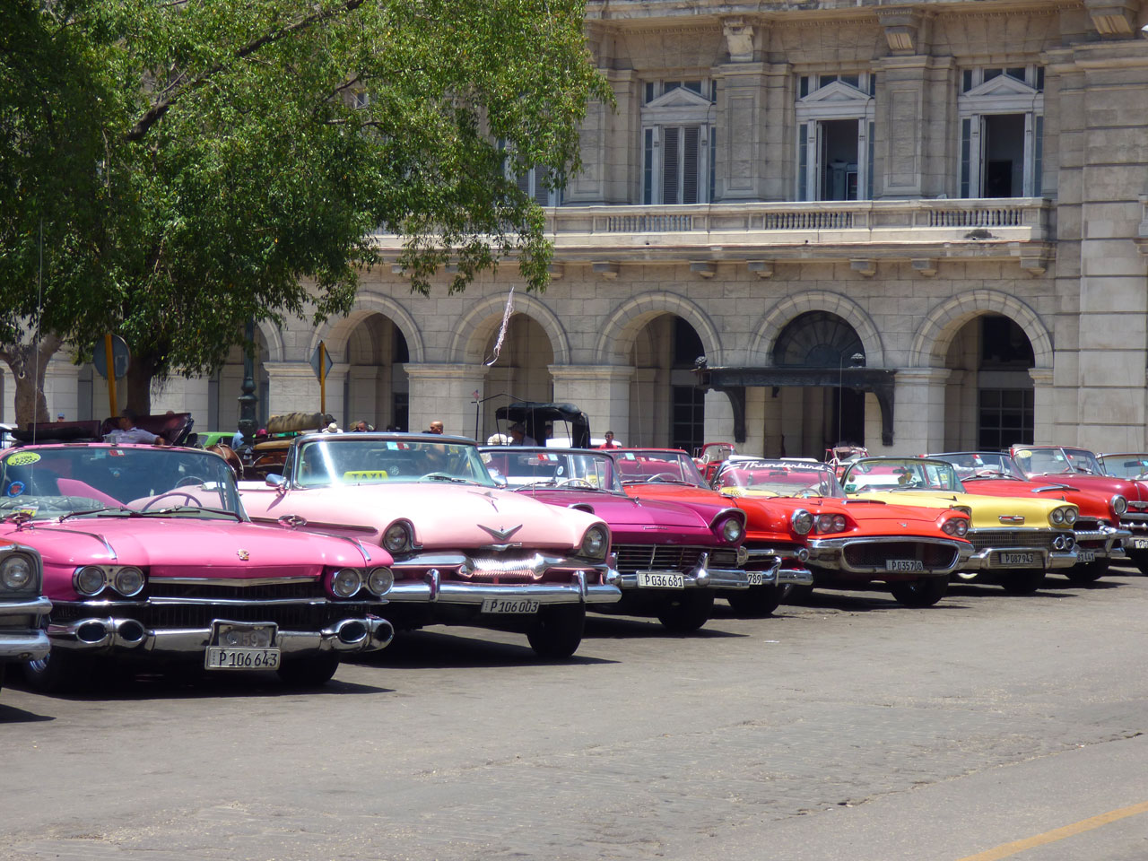 Classic cars lined up on the Prado, Havana