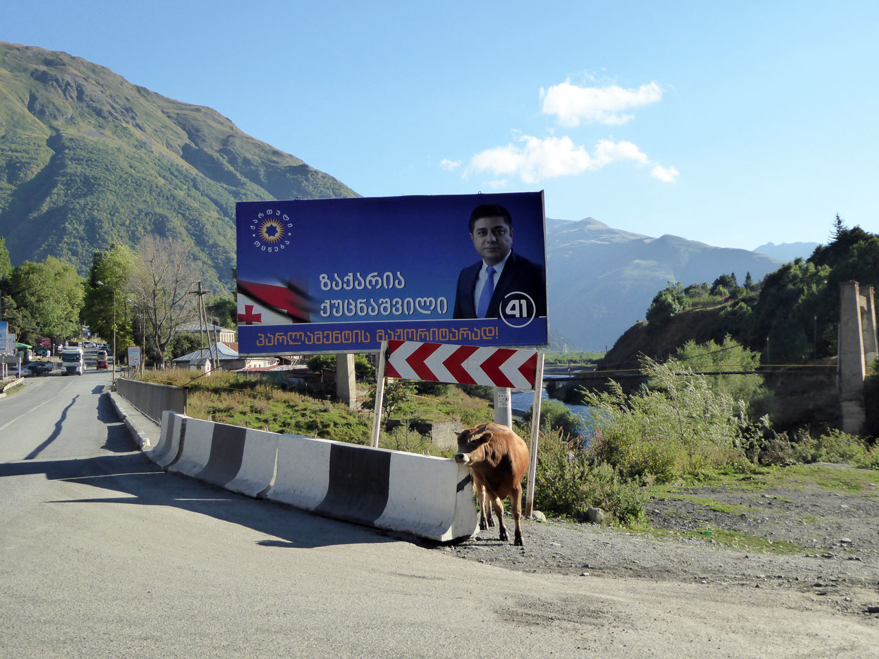 Cow next to an election poster in Stepantsminda, Georgia