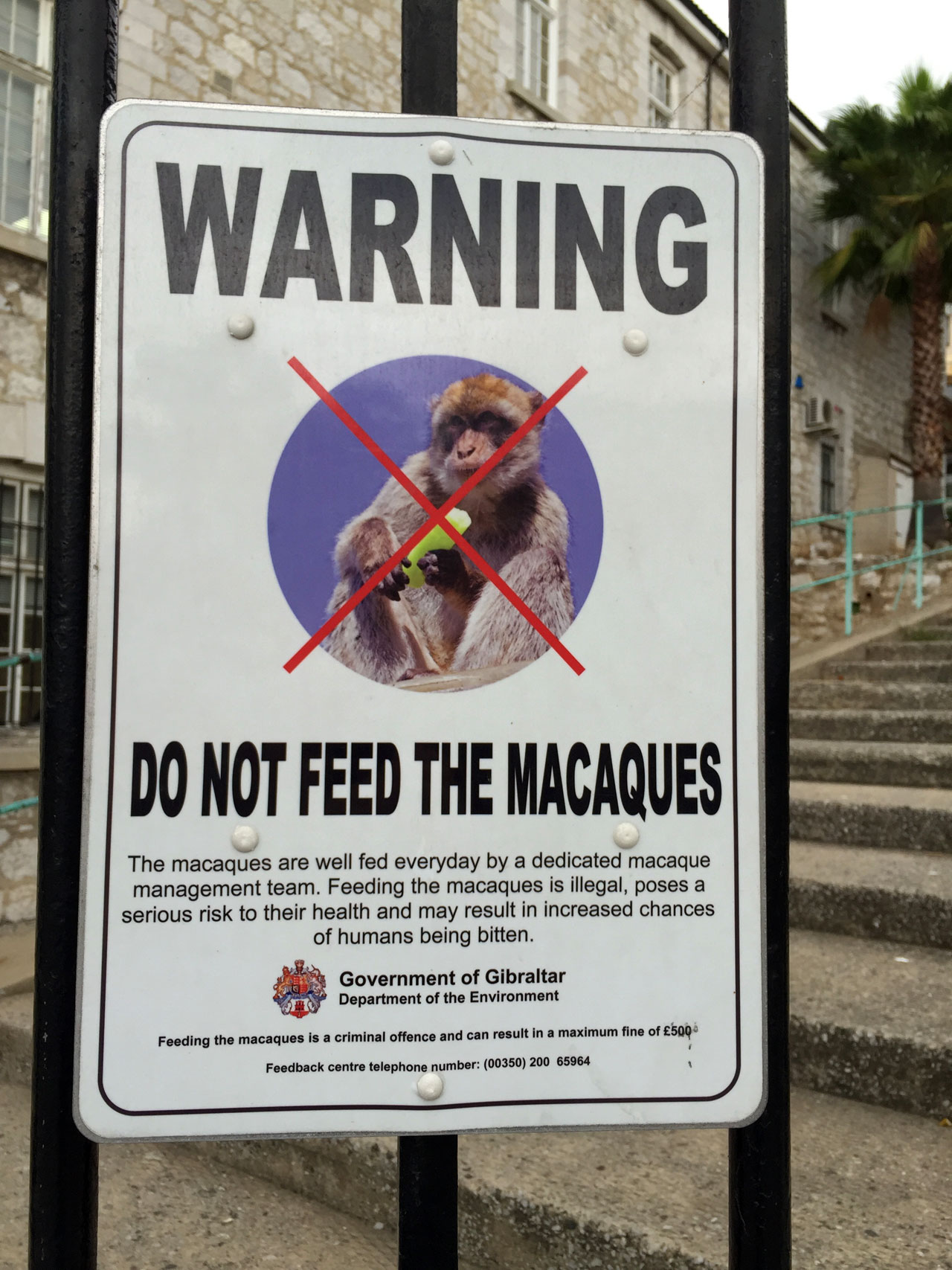 Sign reads "Warning: Do not feed the macaques"