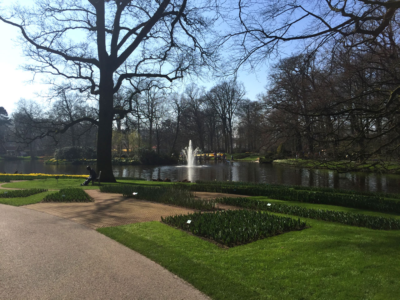 The lake at Keukenhof, Netherlands