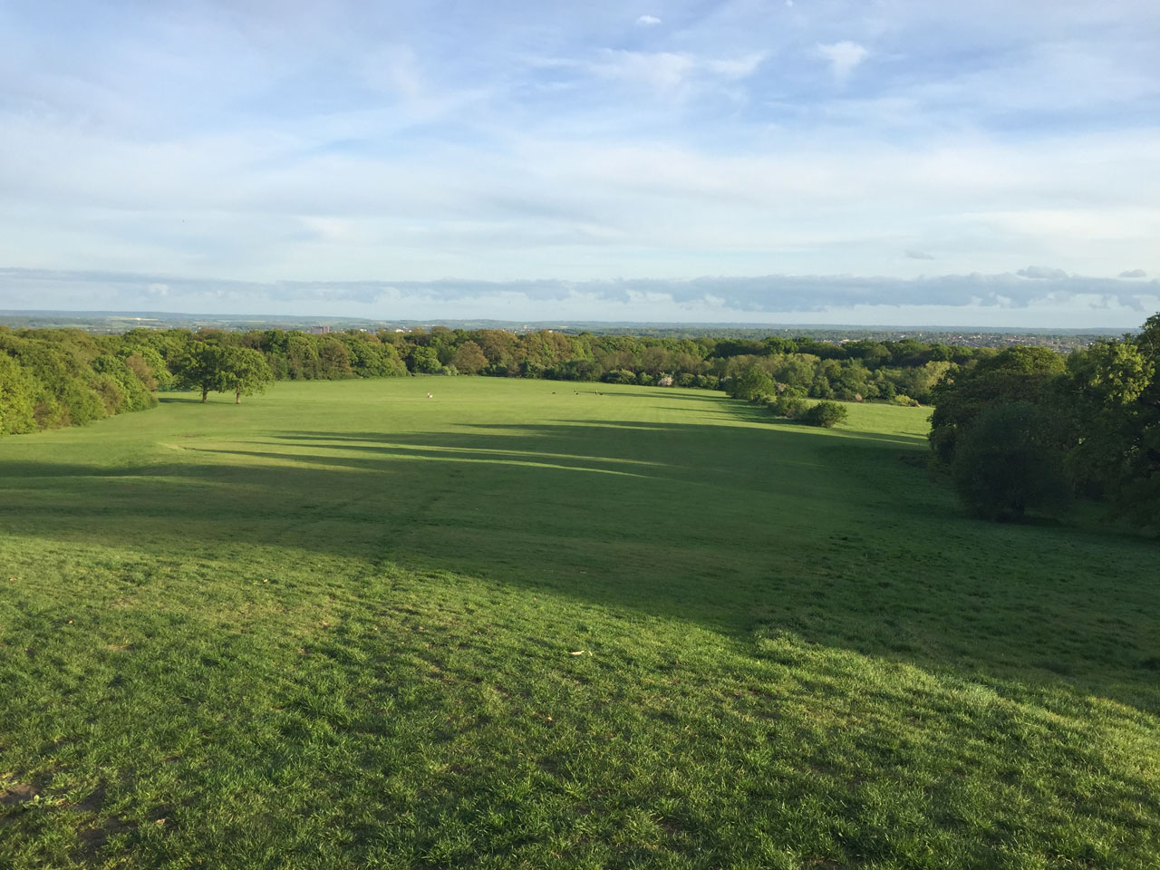 Oxleas Meadows, London