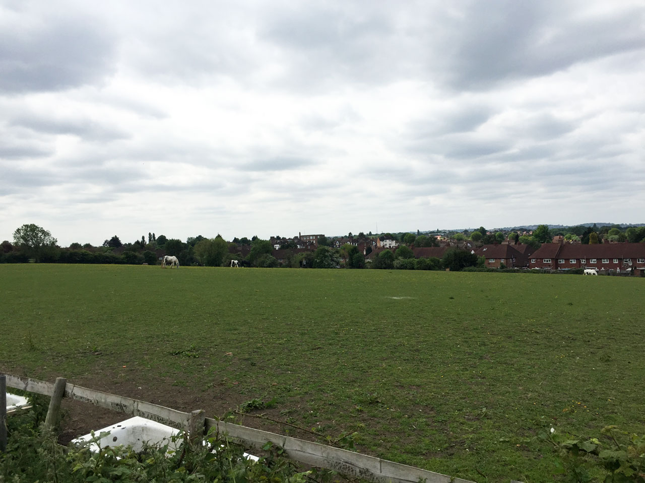 A paddock near Eltham Palace, London