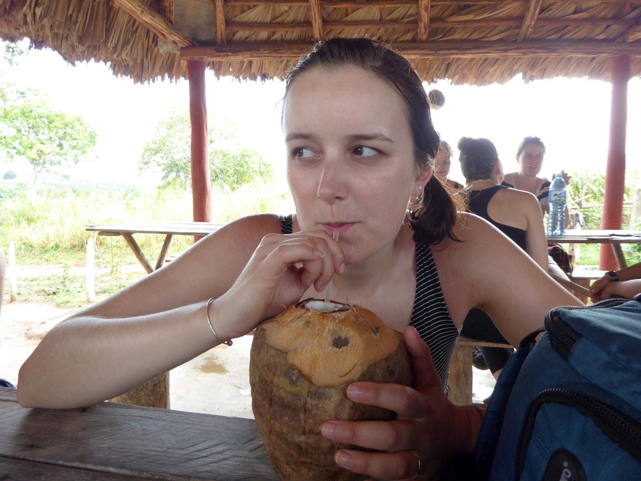 Polly drinking from a coconut in Viñales