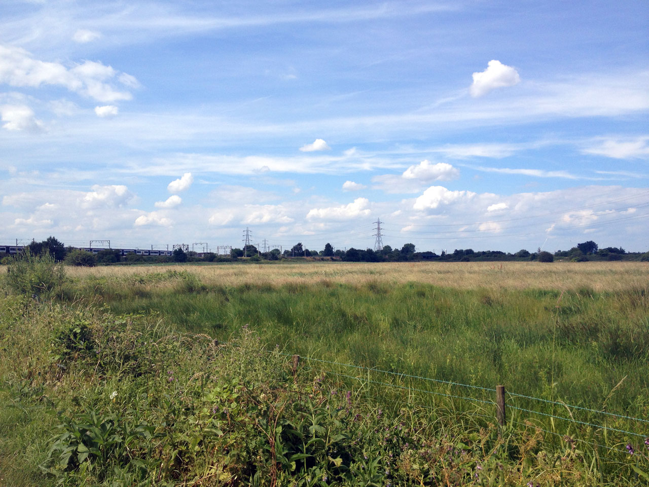 Walthamstow Marsh, Capital Ring Walk, London