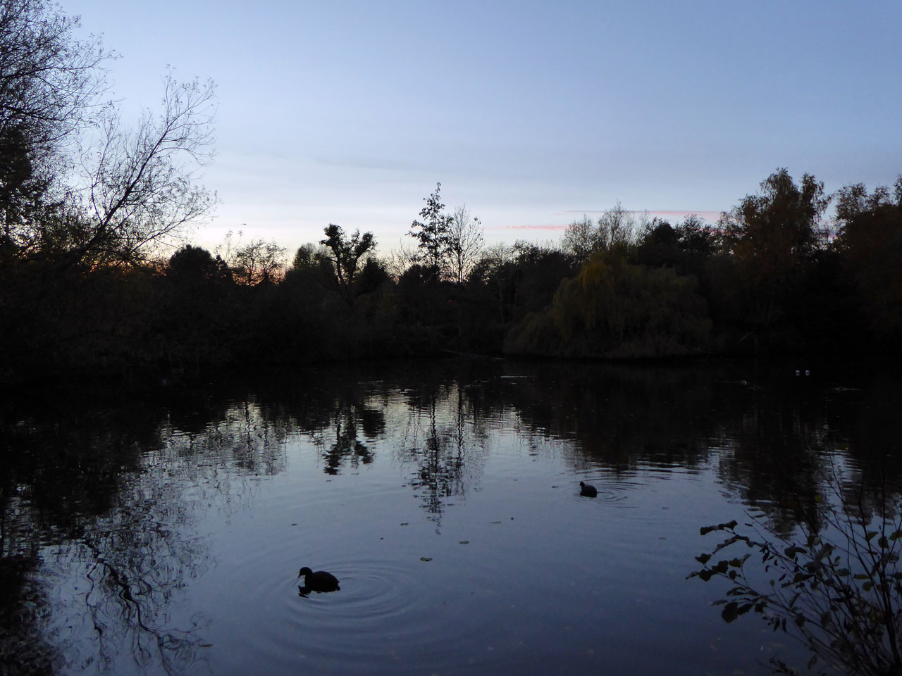 Sunset on Wandsworth Common, London