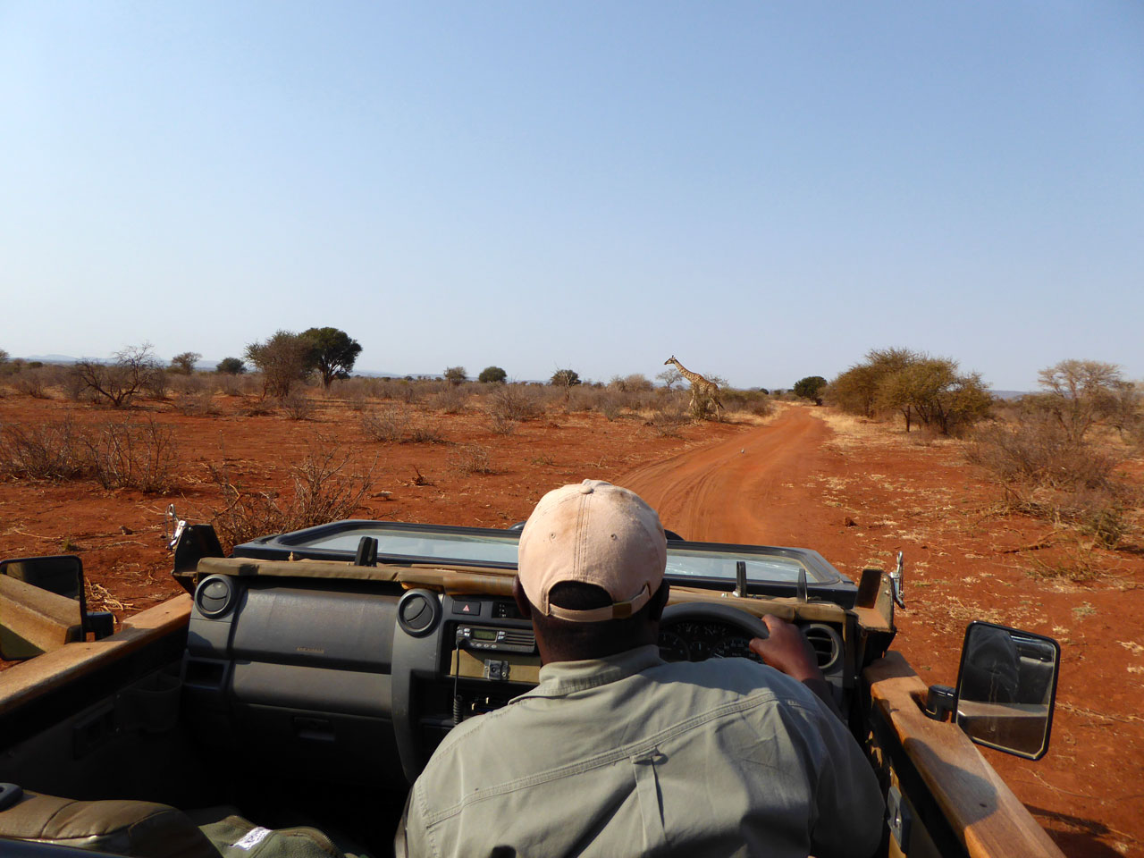 On safari in Madikwe Game Reserve, South Africa