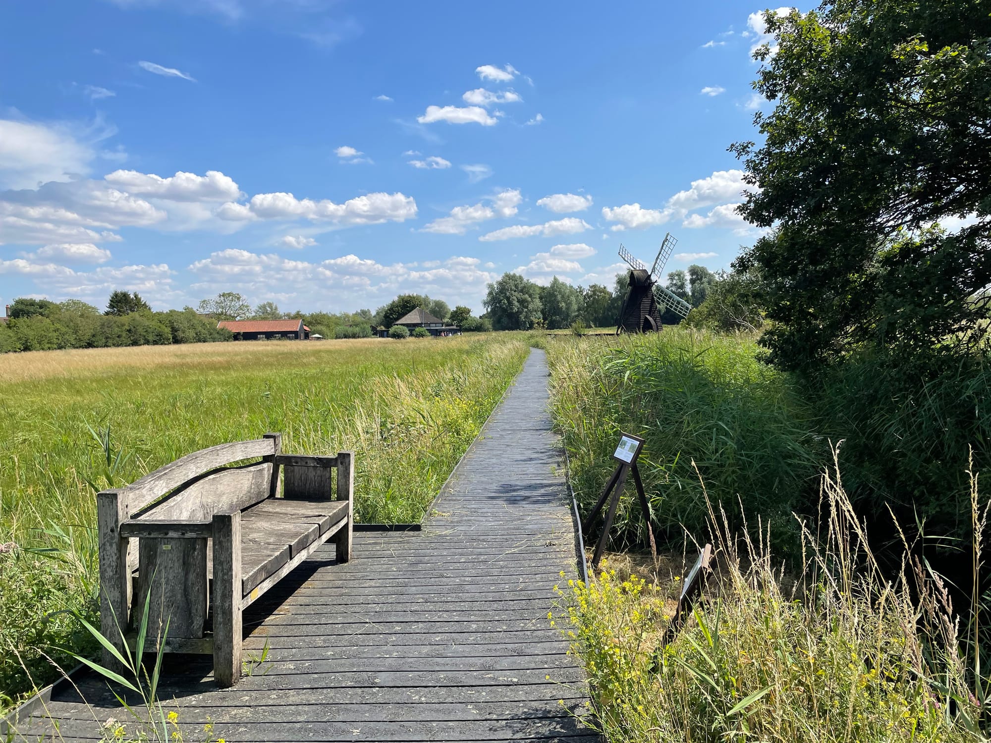 Wicken Fen