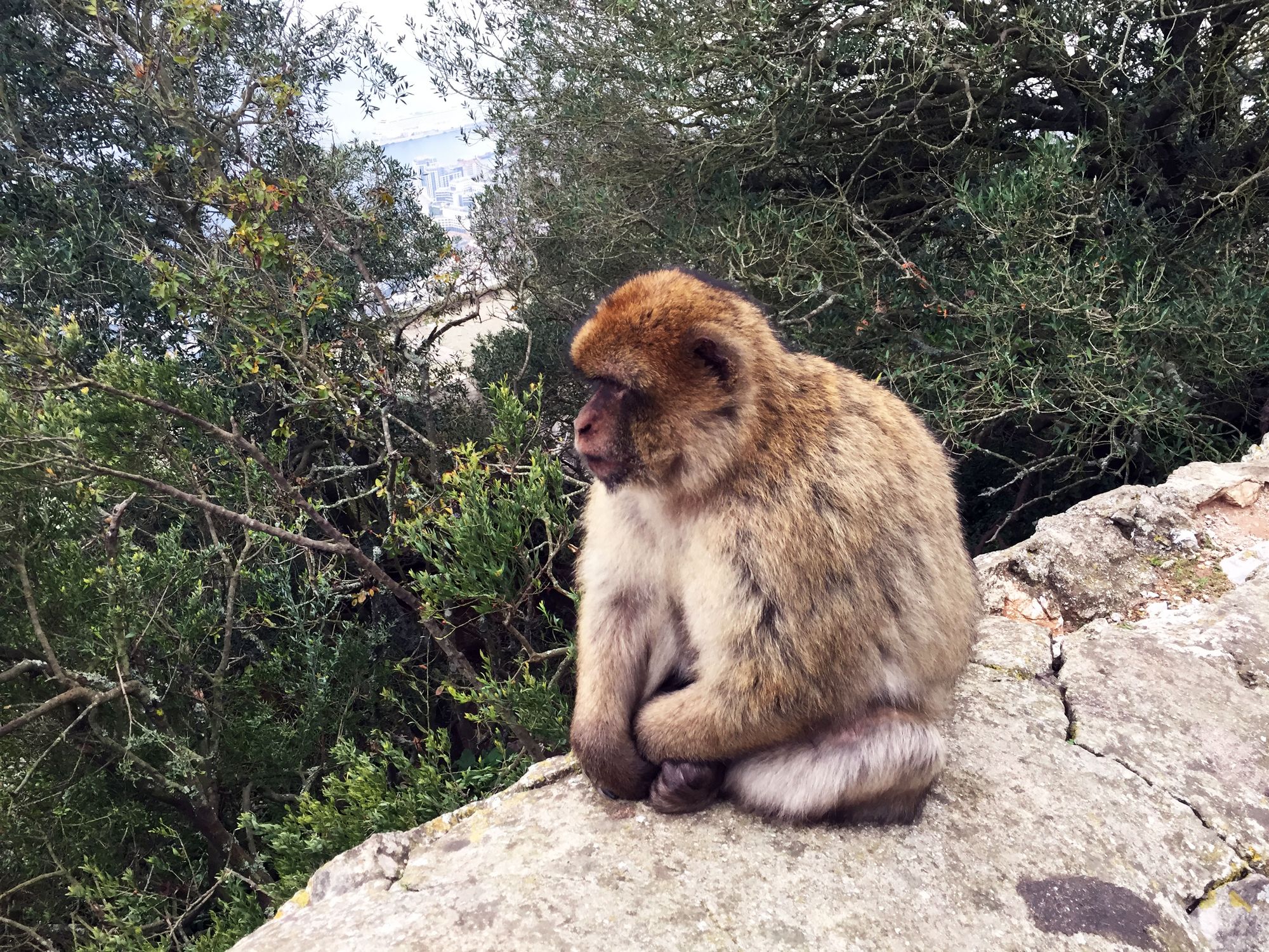 A grey day in Gibraltar