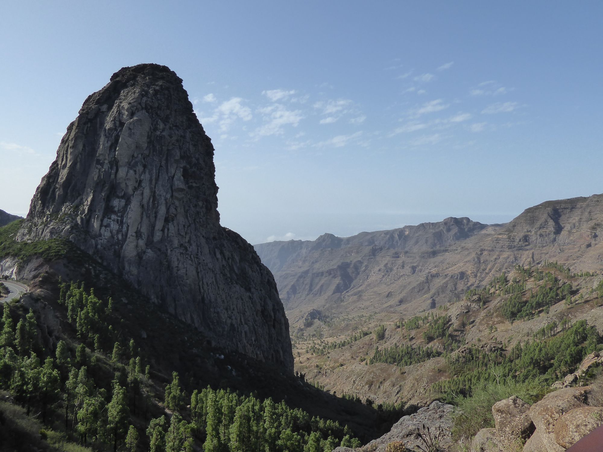 The fragile forests of La Gomera