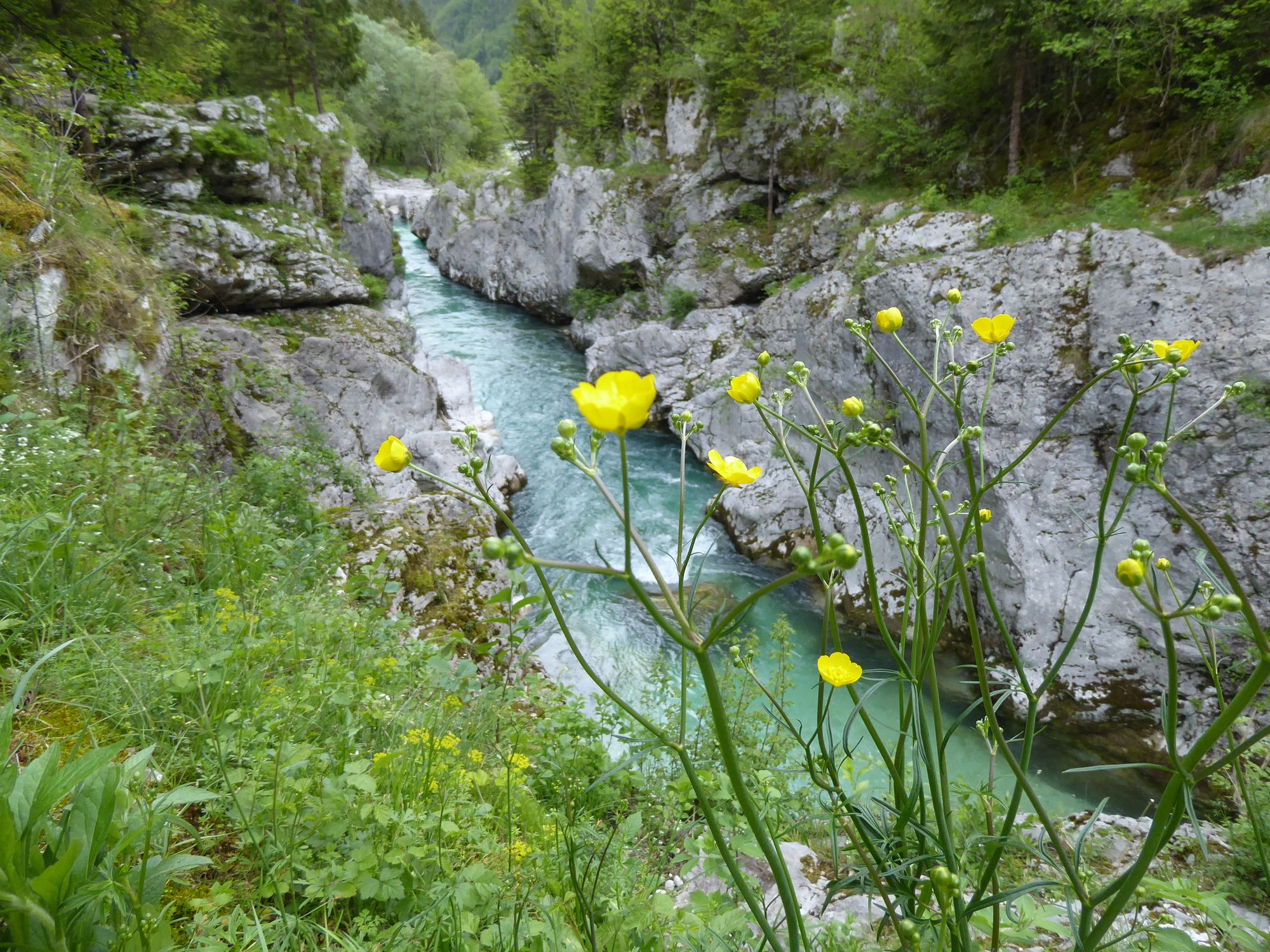 The Soča Valley: All quiet on the Isonzo Front