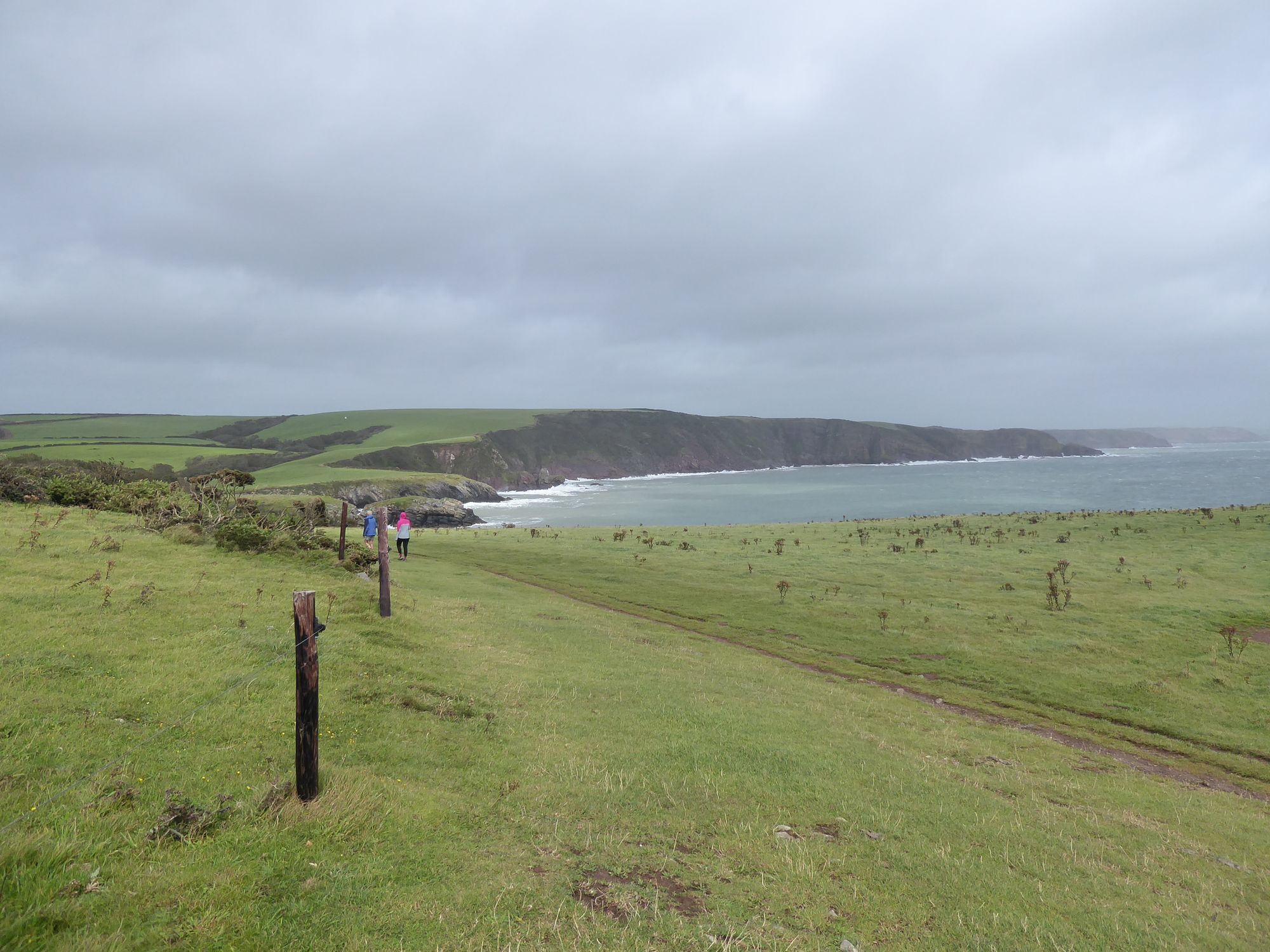 South Pembrokeshire: Storms, seals and social distancing