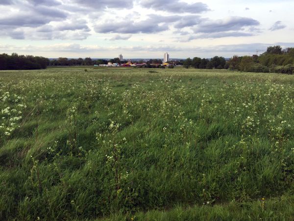 Capital Ring Walk: Woolwich to Falconwood
