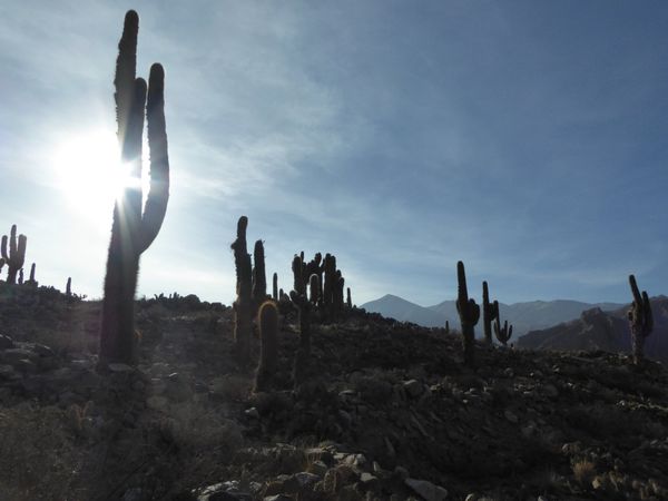 The Quebrada de Humahuaca: Argentina's wild north west