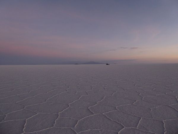 Lagoons, llamas and the Salar de Uyuni